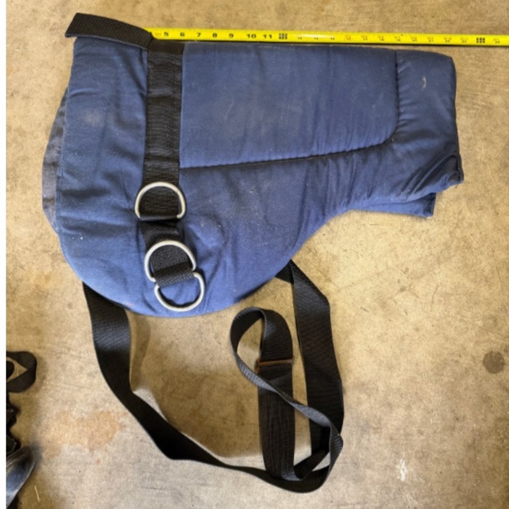 Padded bareback pad